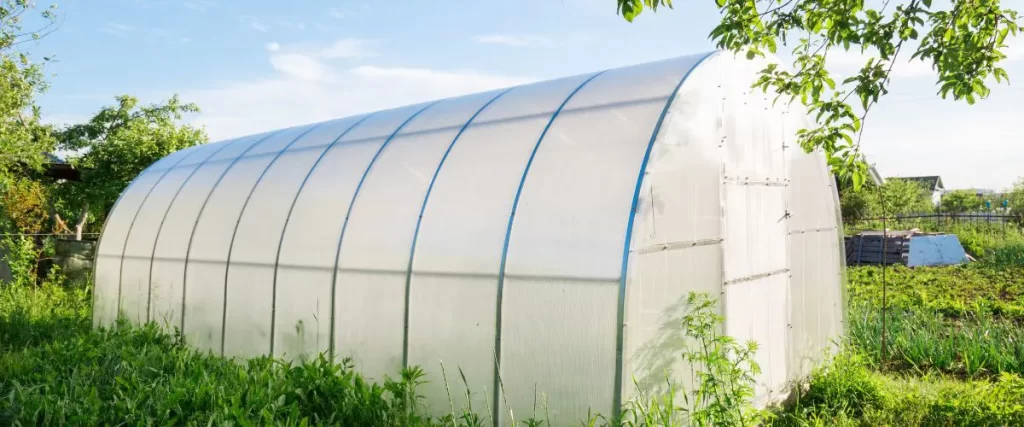 Arched Roof with polycarbonate sheets